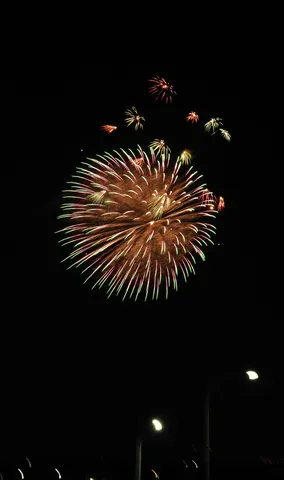 夜空に広がる光の華