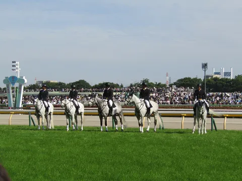 競馬場の緑と装束のコントラスト