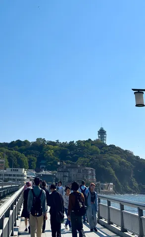 青空の下、潮風を感じる道