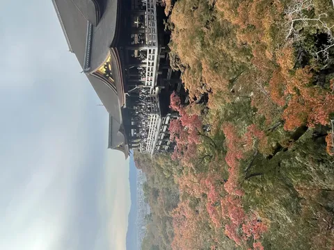 絶景見に来たら大行列！