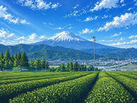 悠久の富士と新緑の息吹
