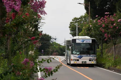 花咲く道を走るバス