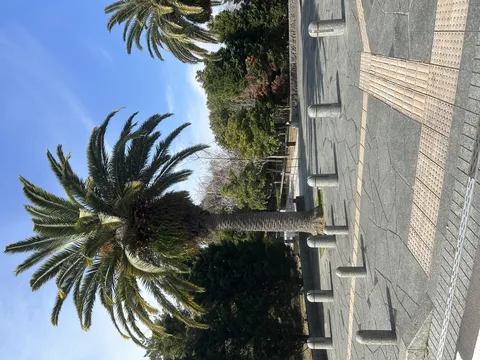 青空とヤシの木広場