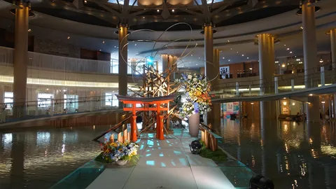 水辺に浮かぶ花と鳥居の光景