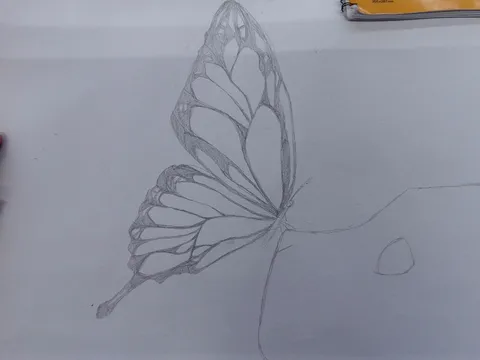 翅の迷宮が描く風景