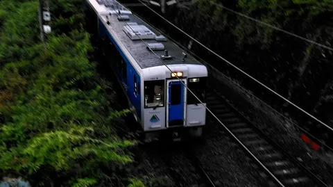 緑の中を駆け抜ける列車の残像