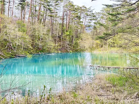 え、これ絵の具？な青い水面