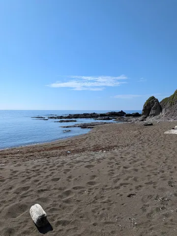砂浜に漂着した流木と青い海