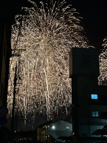 街を彩る夏の夜空の華