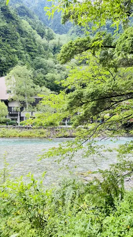 清流きらめく緑の渓谷