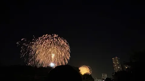 夜空に花開く光の雨