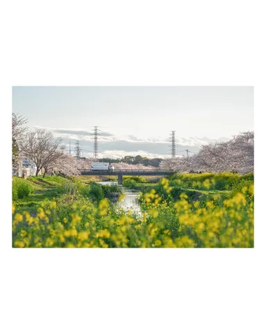 春の息吹、橋を越えて
