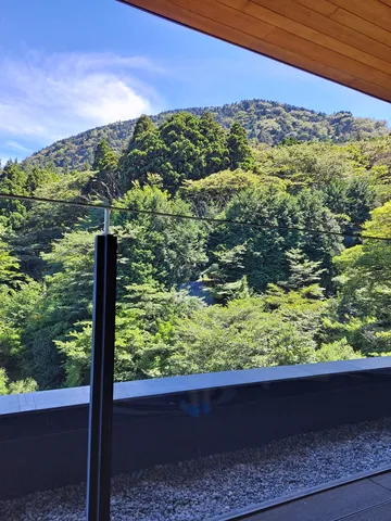 緑深き山のテラス
