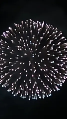 夜空に咲く、華麗なる光の華