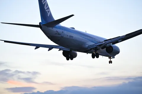 空へ舞う、ANAの雄姿