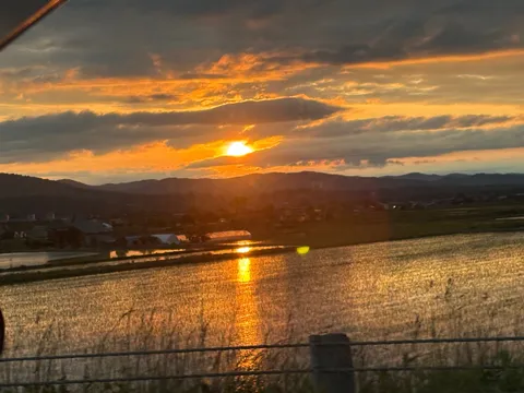 夕焼けのゴールデンカーペット、水面もまぶしっ！