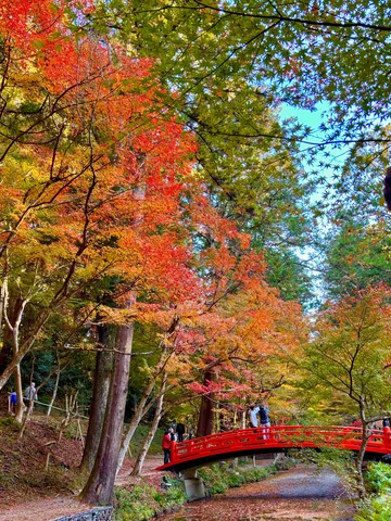 紅葉のアーチ、秋色の世界