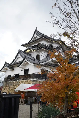 歴史を感じる城と秋の彩り