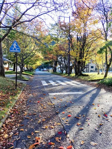 秋色に染まる、横断歩道のある道
