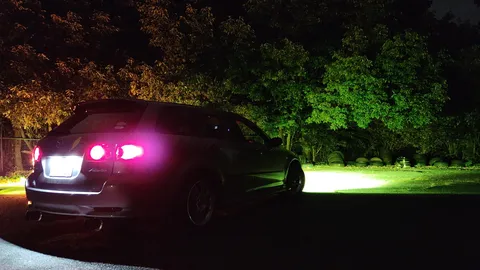 夜の車と緑の影が交差