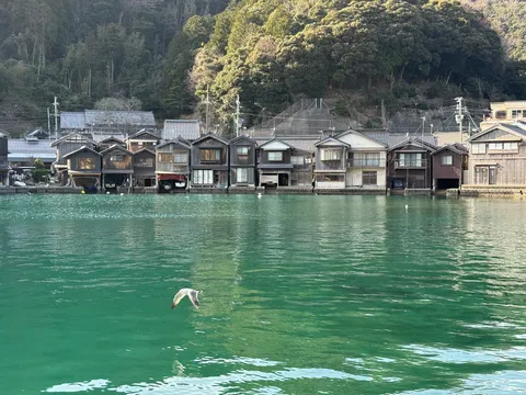 水面に映る古民家と海鳥の瞬間