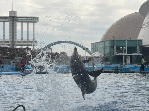 水しぶき弾ける躍動の瞬間