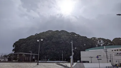曇り空に舞う雪、緑の山。