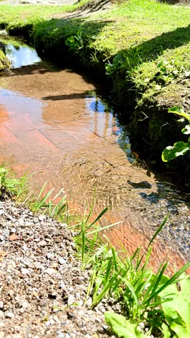赤茶の水路と光の揺らぎ