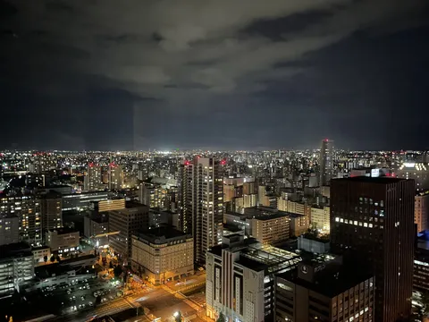 光の海を泳ぐ夜の街