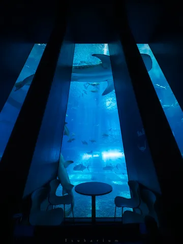 青の世界に溶け込む特等席