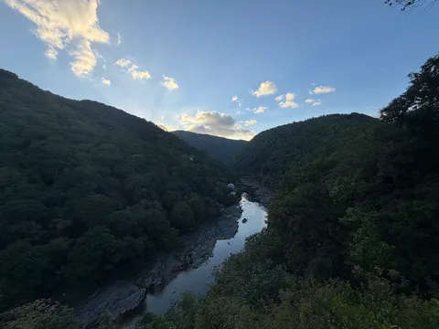 森と川の静かな夕景