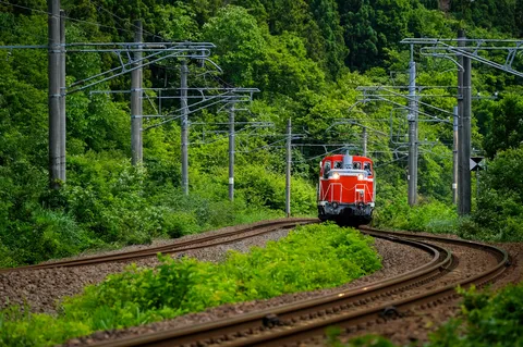 新緑のカーブを曲がる赤い列車