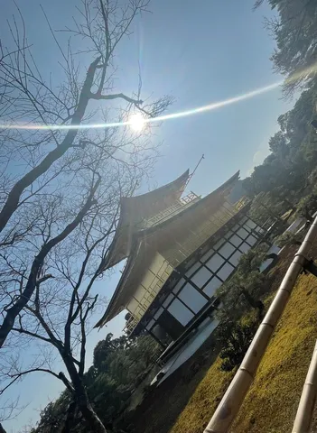 太陽と金色の建築、不思議なコントラスト