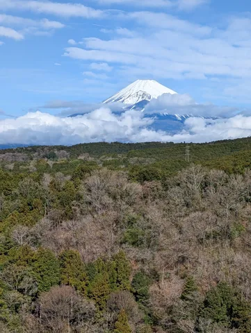 雲海に浮かぶ雪化粧の富士山