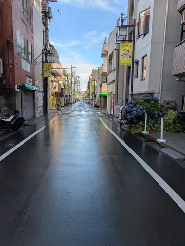 雨上がりの静かな街路