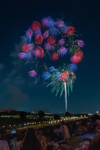 夜空に咲く七色の華