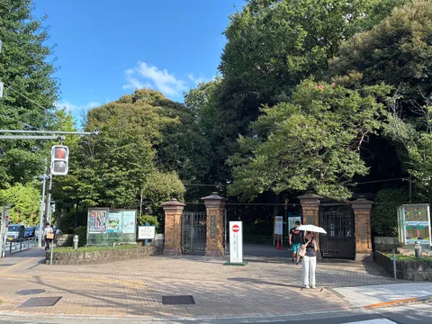 緑に包まれた門構え、夏のひととき