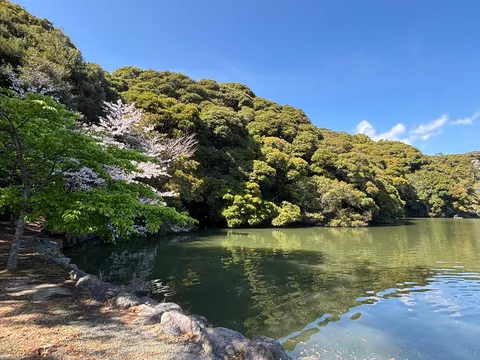 新緑と湖、穏やかな春の風景