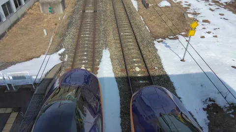 並走する二つの頭
