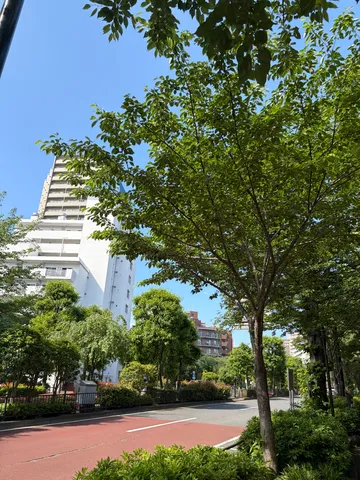 新緑と都会のコントラスト