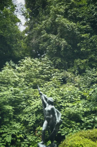 緑陰に佇む、静かなる姿