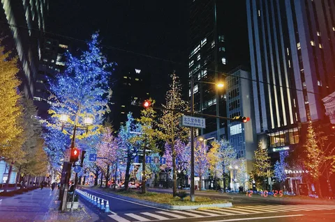 都市を彩る幻想の光