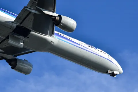 空を切り裂く翼