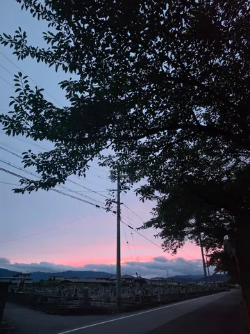 夕暮れに染まる墓地と電線