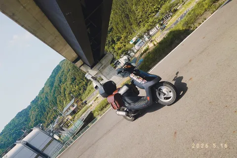 高架下の相棒、旅路の記憶