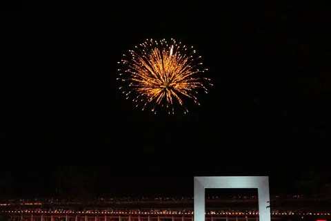 ど真ん中！夜空の大輪