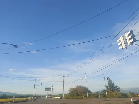 信号と電線の織りなす日常風景