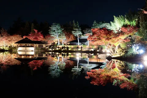 静寂の夜、水面に映る紅葉の灯り