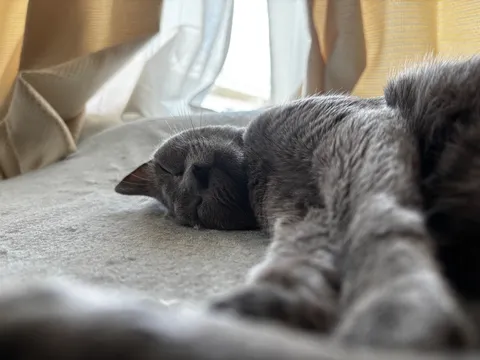 完全熟睡モード、夢の中へ