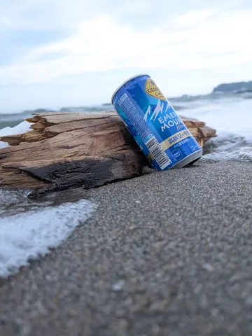 海辺の忘れ物？